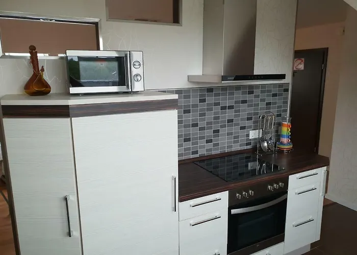 Deichgraf * Husum (Schleswig-Holstein)